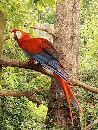 Mesker Park Zoo photo 5