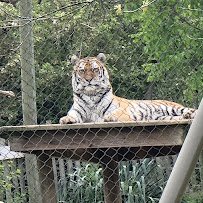 Mesker Park Zoo photo 6