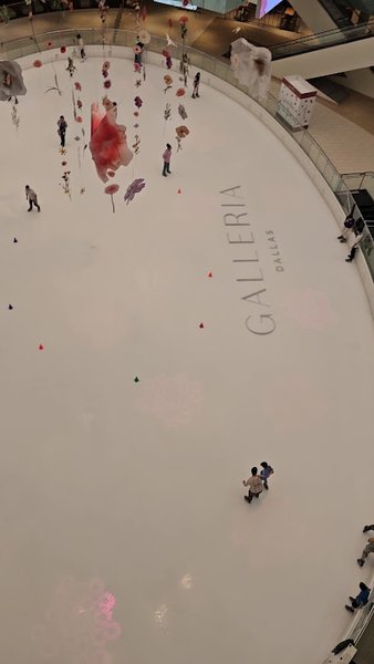 Galleria Ice Skating Center photo 2