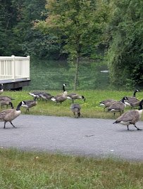 Keney Park Zoo photo 2