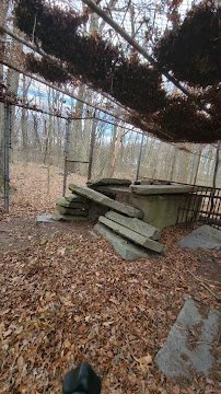 Keney Park Zoo photo 3