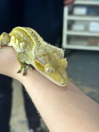 Critter Squad Wildlife Defenders. photo 2