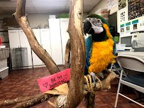 Critter Squad Wildlife Defenders. photo 5