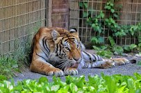 Living Treasures "Wild" Animal Park photo 5