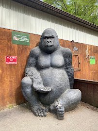 Living Treasures "Wild" Animal Park photo 6