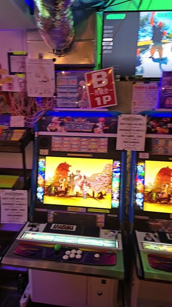 Araiguma: Advanced Battle Center photo 2
