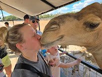 The Exotic Resort Zoo photo 6