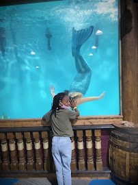 Blue Zoo Aquarium Oklahoma City photo 2