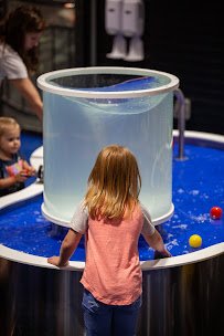 Blue Zoo Aquarium Oklahoma City photo 3