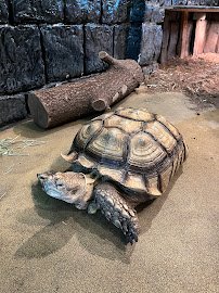 Blue Zoo Aquarium Oklahoma City photo 5