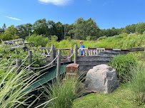 Putt Putt Van Winkle photo 4