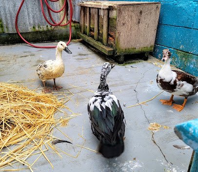 Westport Aquarium photo 5