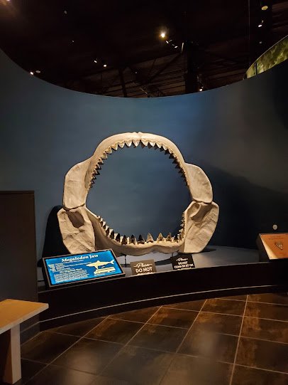 Tellus Science Museum photo 6