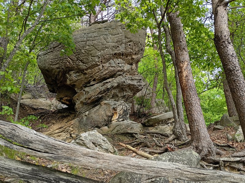 Cumberland Gap National Historical Park photo 5