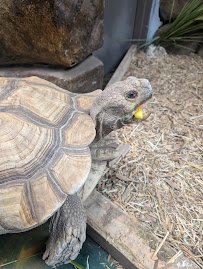 Blue Zoo Aquarium Rogers