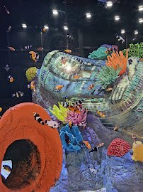 Blue Zoo Aquarium Rogers photo 2