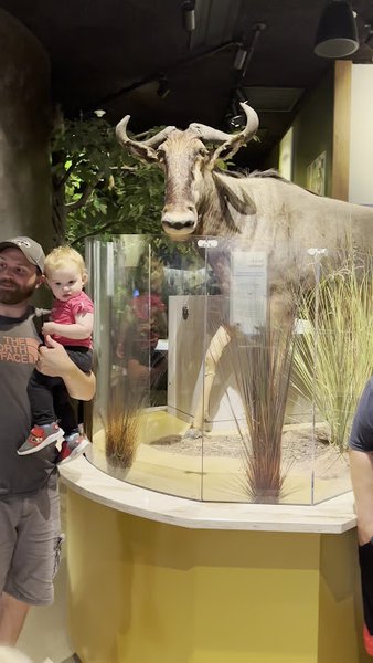 Delaware Museum of Nature & Science photo 2