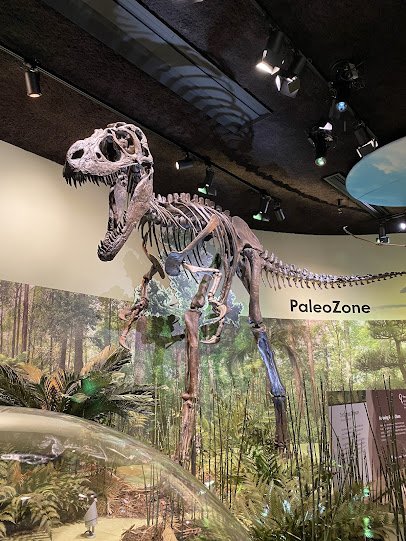 Delaware Museum of Nature & Science photo 5
