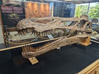 Crater Rock Museum photo 4