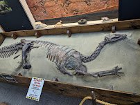 Crater Rock Museum photo 6