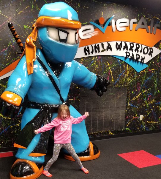 Sevier Air Trampoline and Ninja Warrior Park photo 6
