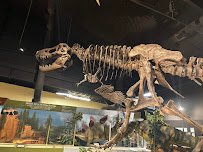 Naranjo Museum-Natural History