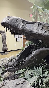 Naranjo Museum-Natural History photo 2