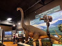 Naranjo Museum-Natural History photo 4