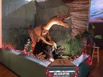 Naranjo Museum-Natural History photo 6