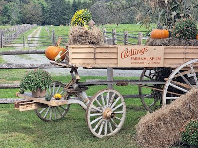 Billings Farm & Museum photo 6