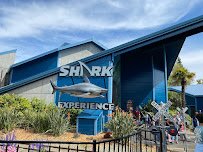 Shark Experience photo 5