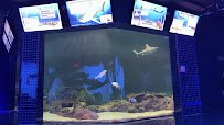 Shark Experience photo 6