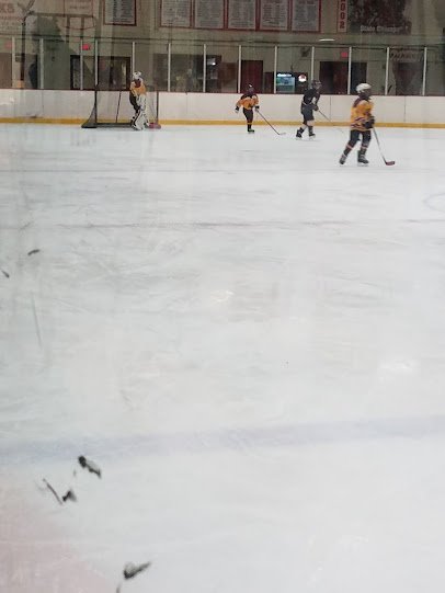 Veterans Memorial Skating Rink photo 3
