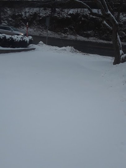 Veterans Memorial Skating Rink photo 6
