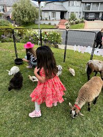 Corals mobile petting zoo photo 5