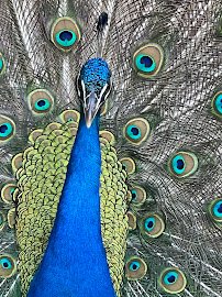 Castle Park Riverside photo 4