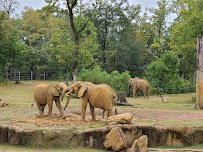 Birmingham Zoo photo 5