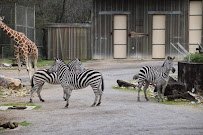 Birmingham Zoo photo 6