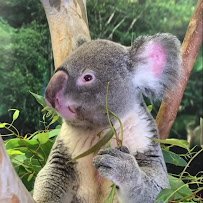 San Diego Zoo photo 2