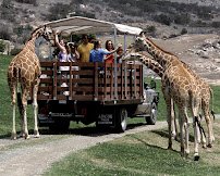 San Diego Zoo photo 3