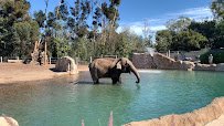 San Diego Zoo photo 5