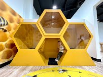 Project Play Discovery Museum photo 3