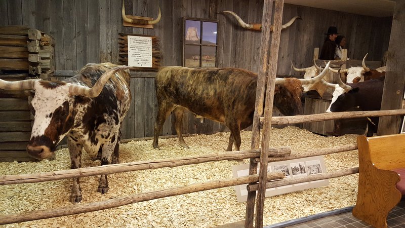 High Plains Western Heritage Center photo 4