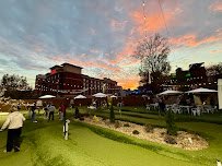 Hop Shots Mini Golf photo 2