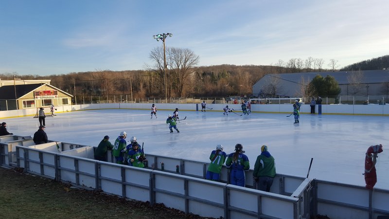Brewster Ice Arena photo 3
