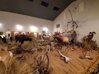 Ninepipes Museum of Early Montana photo 3