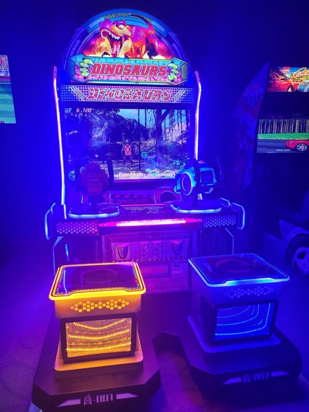 The Arcade Era photo 4