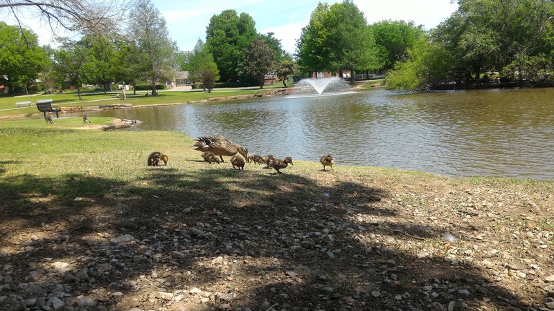 Owen Park Splash Pad photo 6