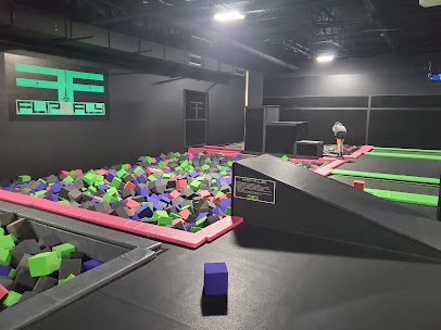 Flip N Fly photo 3