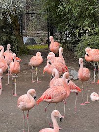 Woodland Park Zoo photo 3